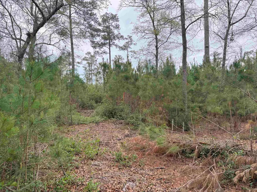 4999 Huckleberry Ln., Conway, SC 29527 - #3