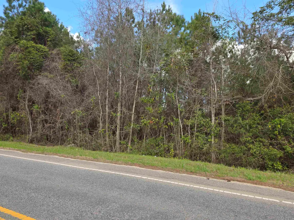 Old Reaves Ferry Rd., Conway, SC 29526 - #1