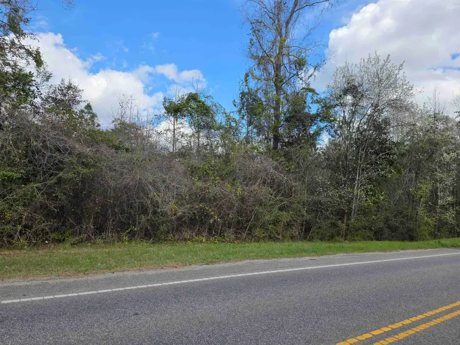 Old Reaves Ferry Rd., Conway, SC 29526 - #2