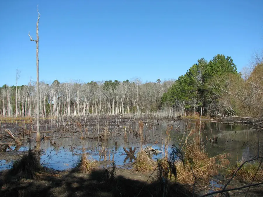 0 Cannery Rd, Dalzell, SC 29040 - #2