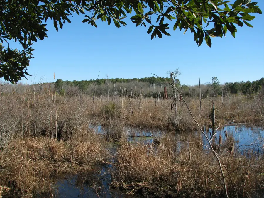 0 Cannery Rd, Dalzell, SC 29040 - #3