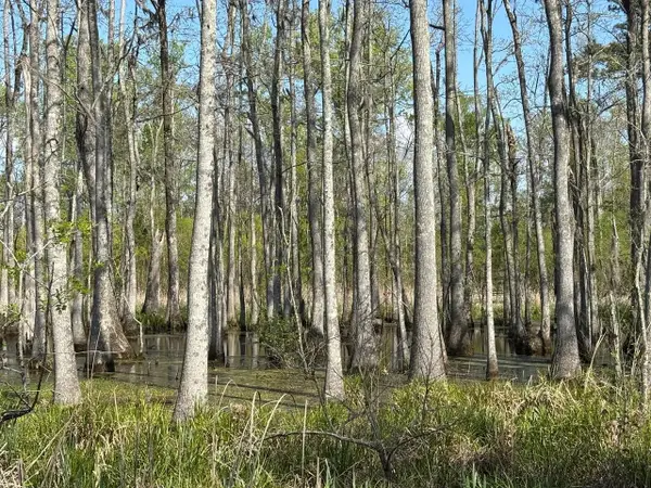Rocky Ford Rd., Salters, SC 29590
