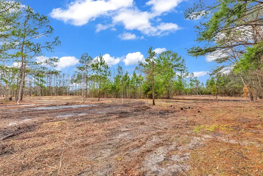 3930 Red Bluff Rd., Loris, SC 29569 - #3