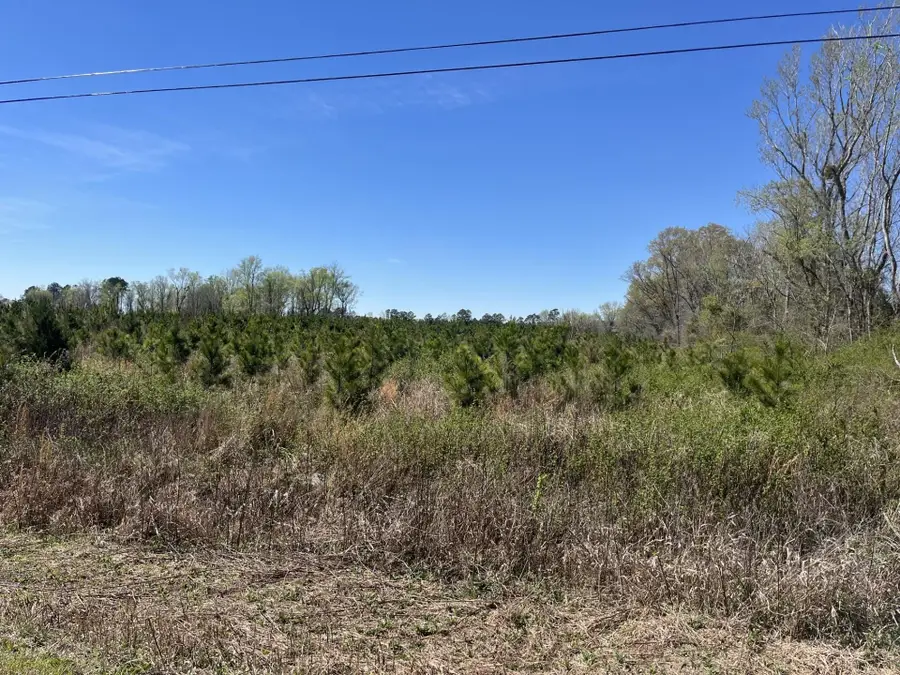 Attadale Rd, Blenheim, SC 29516 - #2