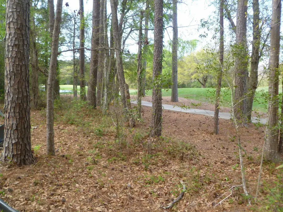 Address Withheld By Seller, Pawleys Island, SC 29585 - #3