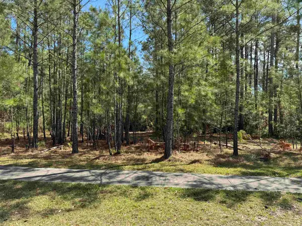 113 Pineberry Dr., Georgetown, SC 29440