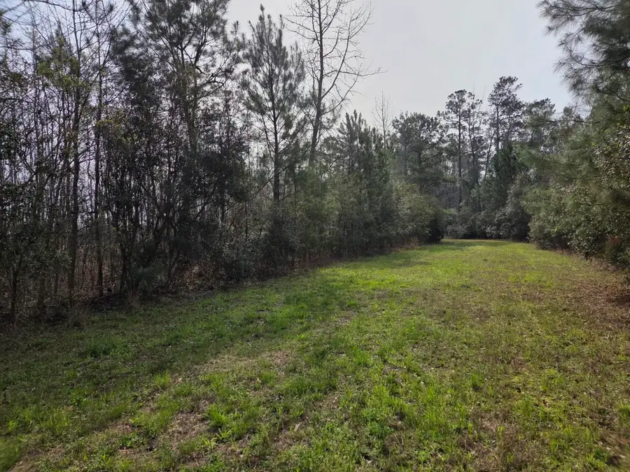 TBD Hubcap Rd., Kingstree, SC 29556 - #2
