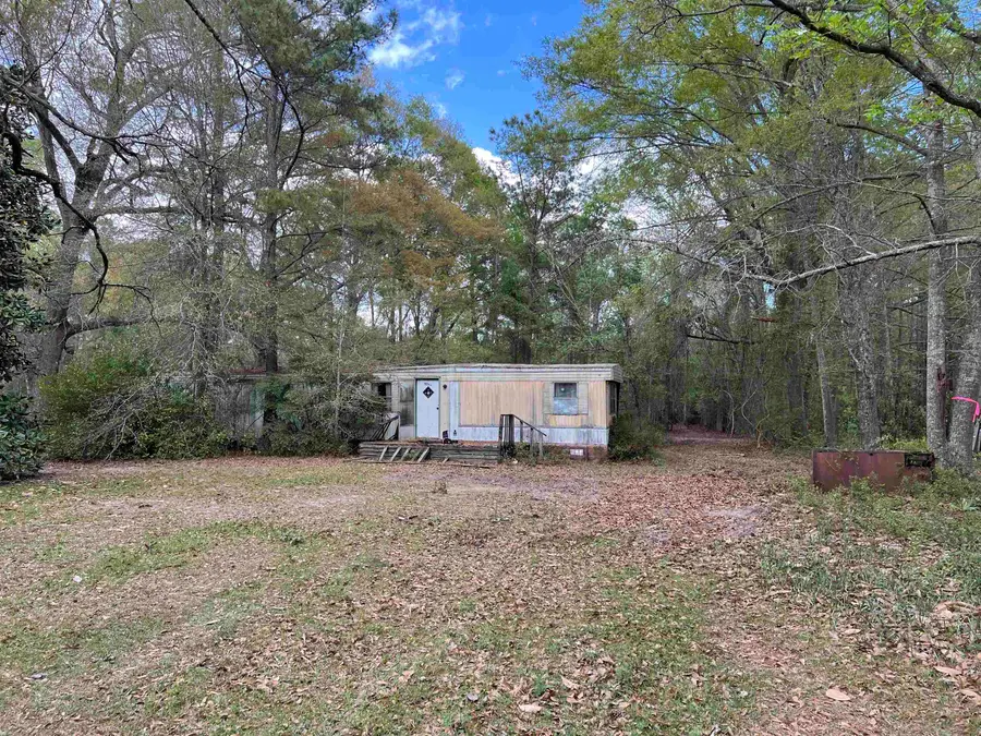 11094 Old Pee Dee Rd., Hemingway, SC 29554 - #2