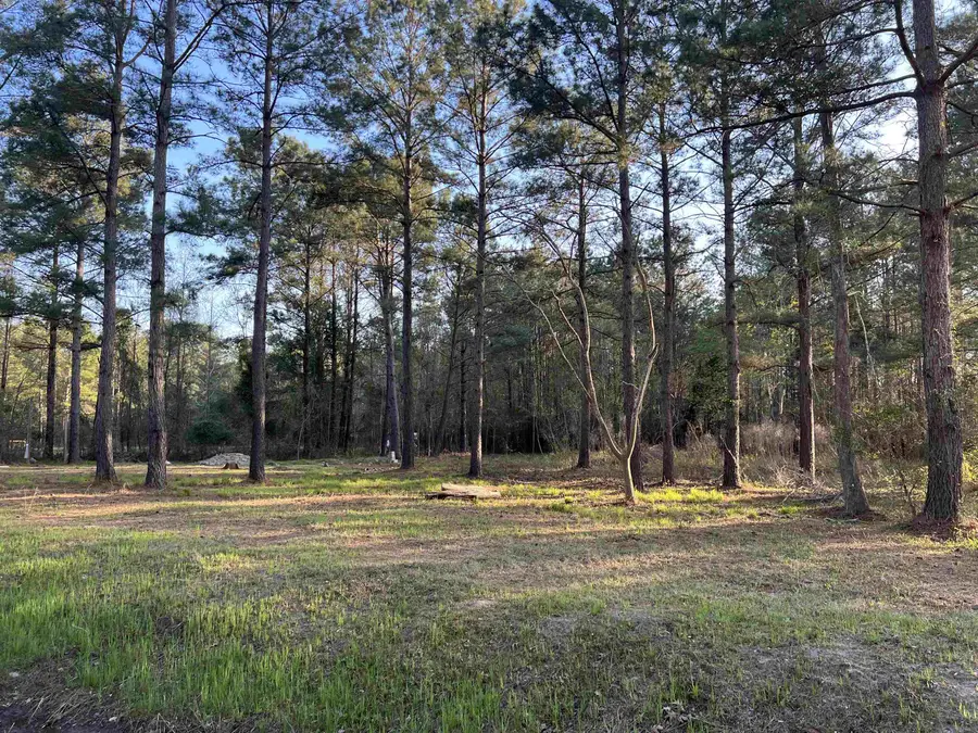 2108 Lees Landing Circle, Conway, SC 29526 - #3