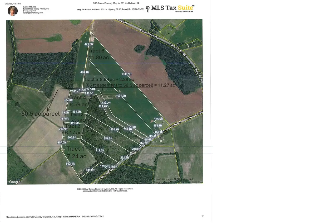 TBD Tract 1 Trinidad Ard Rd, Coward, SC 29530 - #1