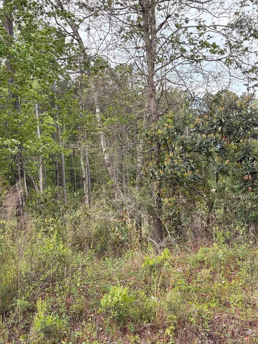 TBD Gussie Ct., Myrtle Beach, SC 29588 - #2