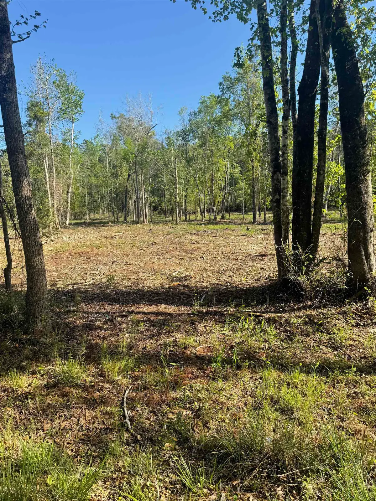 TBD Pauley Swamp Rd., Conway, SC 29527 - #1