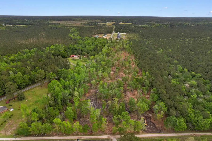 TBD Pauley Swamp Rd., Conway, SC 29527 - #2