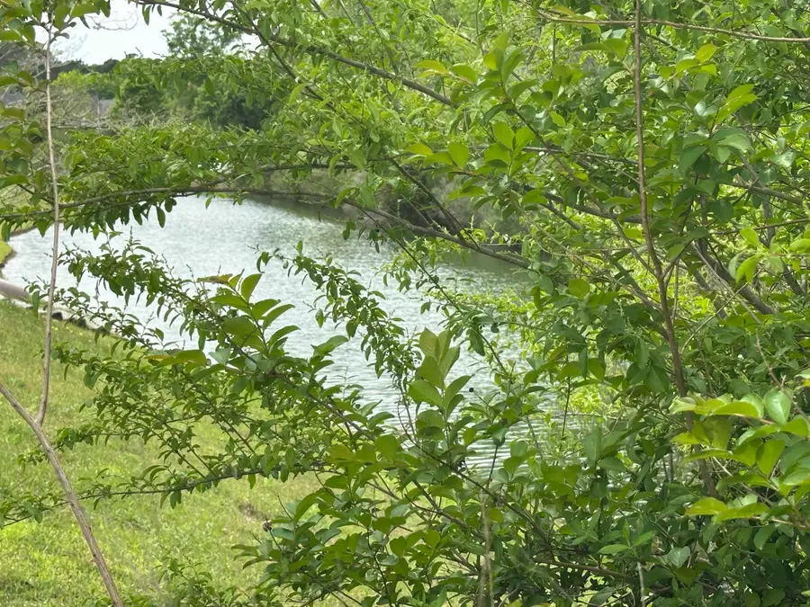 TBD Bradford Dr., Conway, SC 29527 - #3