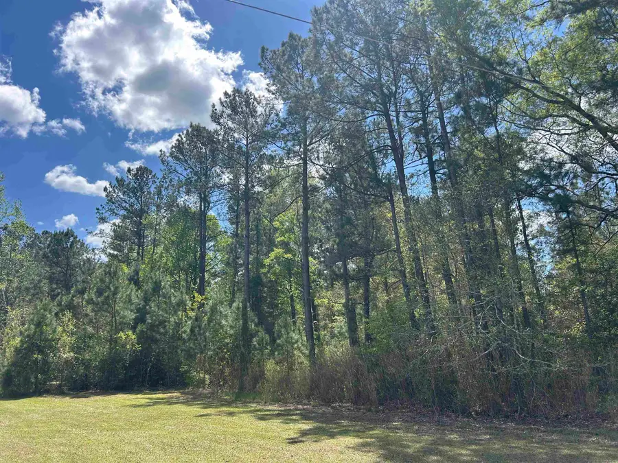 TBD Georgetown Hwy., Andrews, SC 29510 - #2