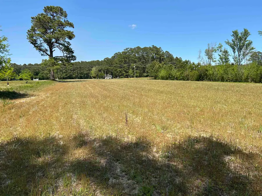 TBD Choppee Rd., Hemingway, SC 29554 - #2