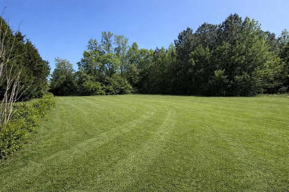 Lot 2 Miles Ct, Marion, SC 29571 - #1