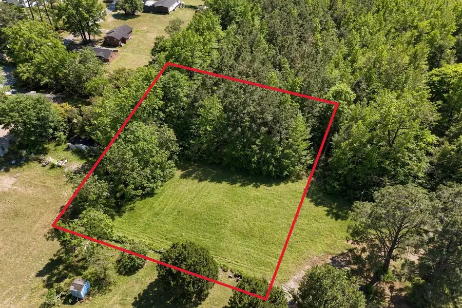 Lot 2 Miles Ct, Marion, SC 29571 - #3