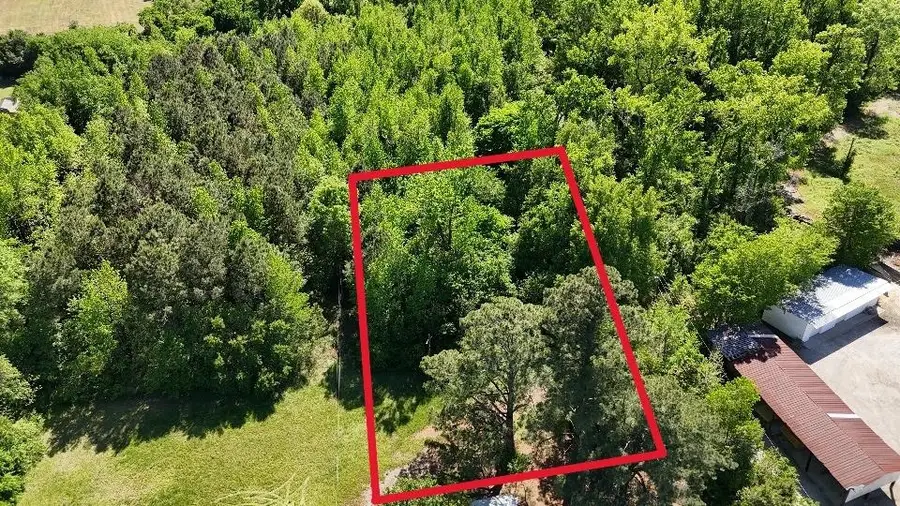 Lot 1 Miles Ct, Marion, SC 29571 - #2