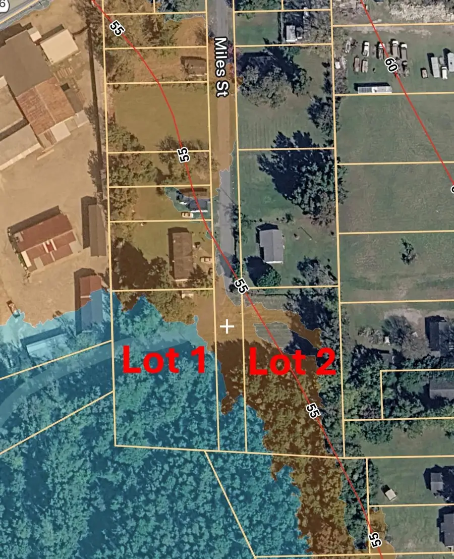 Lot 1 Miles Ct, Marion, SC 29571 - #3