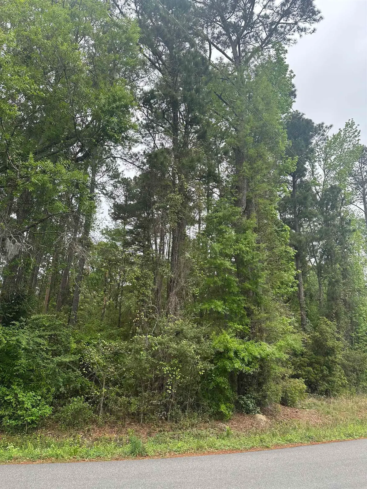 TBD Creekside Dr., Myrtle Beach, SC 29588 - #1