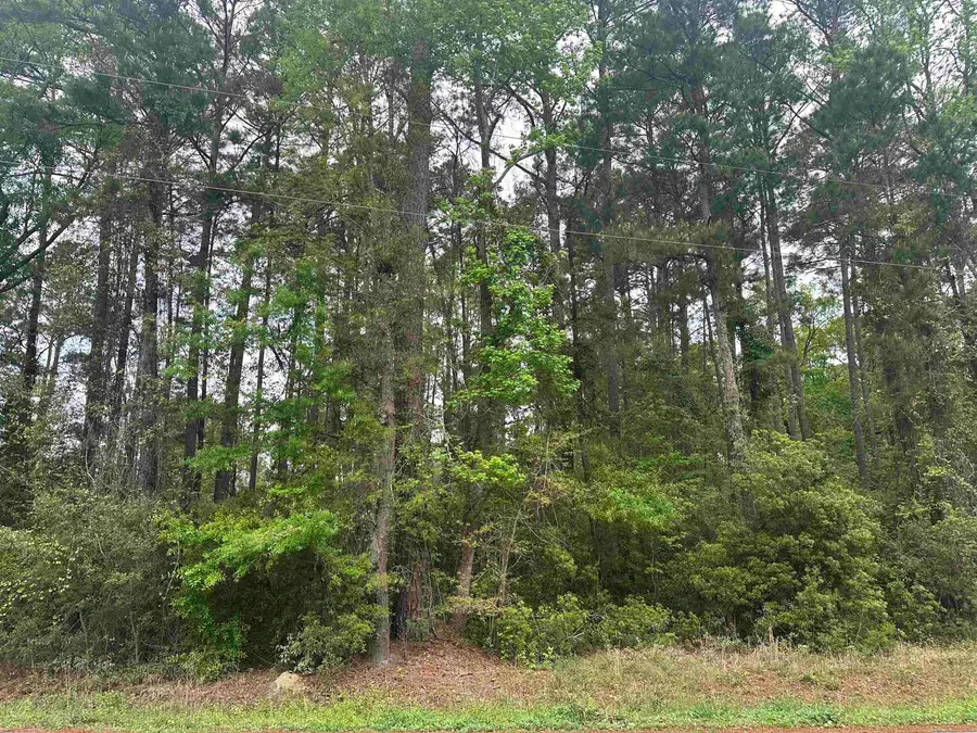 TBD Creekside Dr., Myrtle Beach, SC 29588 - #2