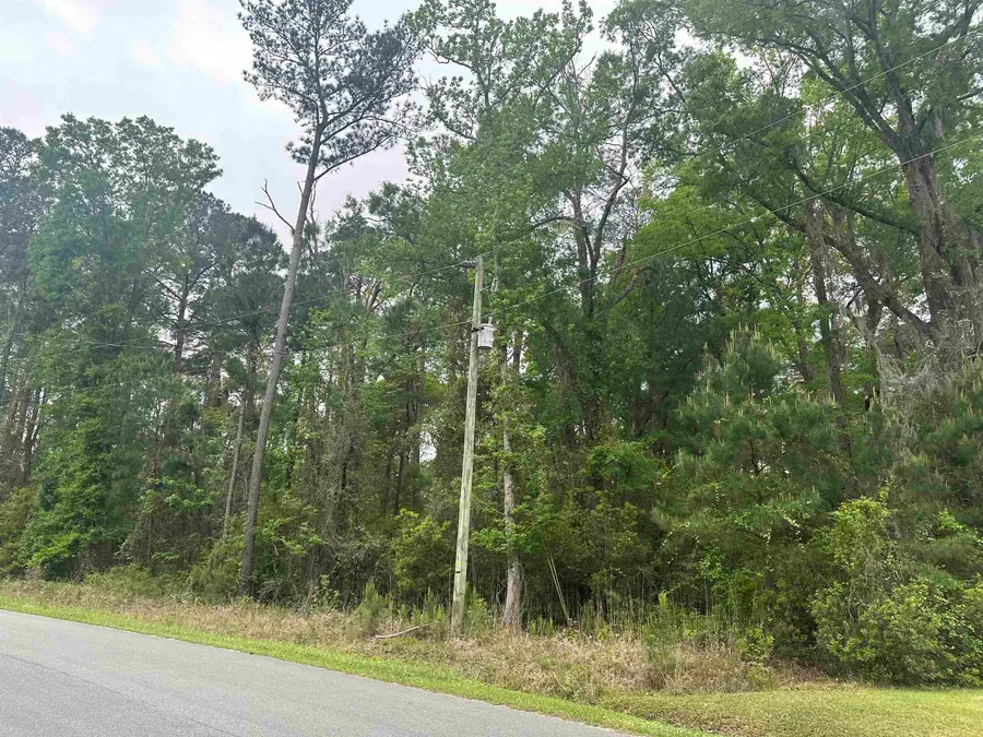 TBD Creekside Dr., Myrtle Beach, SC 29588 - #2