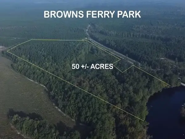 TBD Browns Ferry Rd., Georgetown, SC 29440