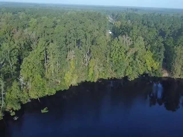 TBD Browns Ferry Rd., Georgetown, SC 29440 - #2