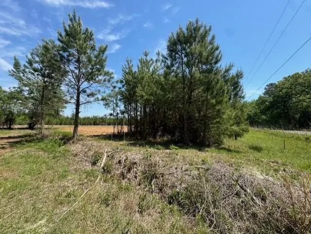 1371 Justice Loop, Loris, SC 29569 - #2