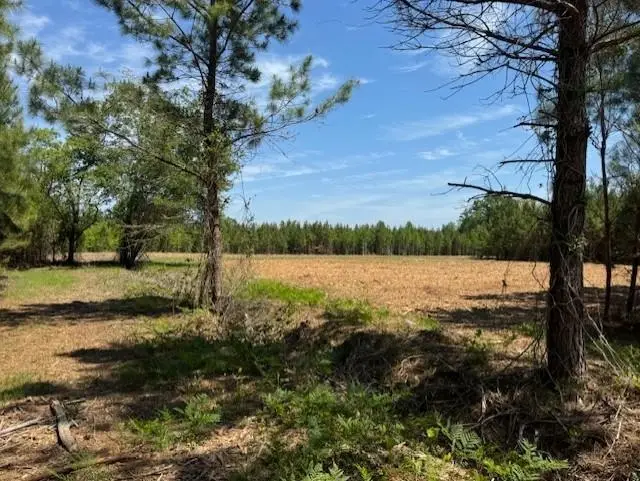 1371 Justice Loop, Loris, SC 29569 - #3