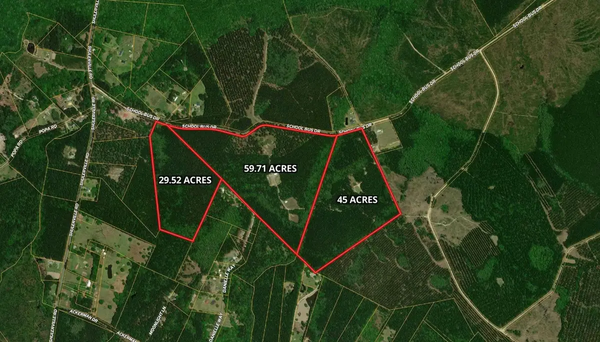 1267 School Bus Rd, Jamestown, SC 29453 - #1