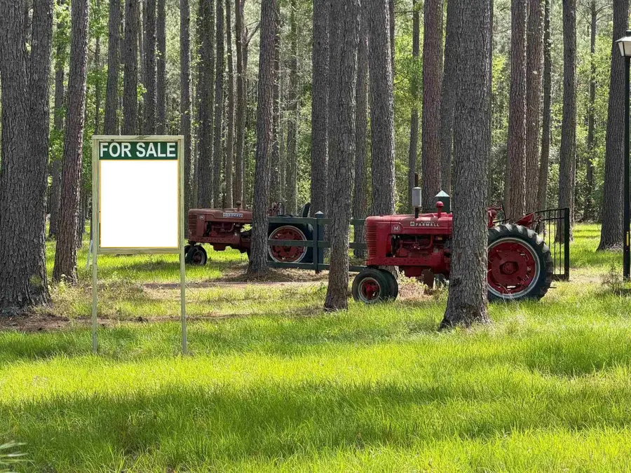 1267 School Bus Rd, Jamestown, SC 29453 - #3