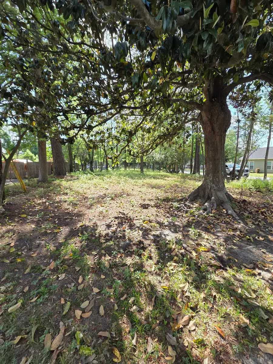 1408 Green St., Conway, SC 29527 - #2