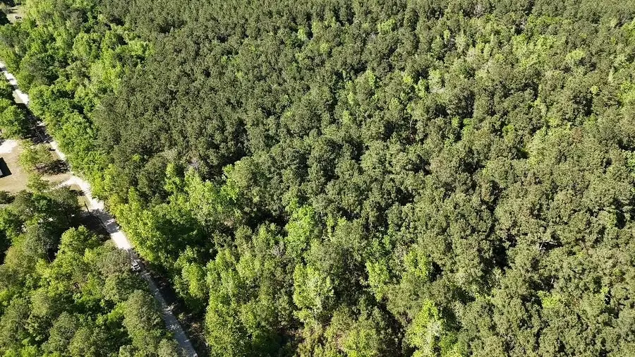 TBD Cambridge Rd., Marion, SC 29571 - #2