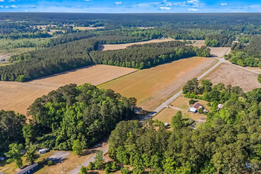 TBD Ray Rd., Hemingway, SC 29554 - #3