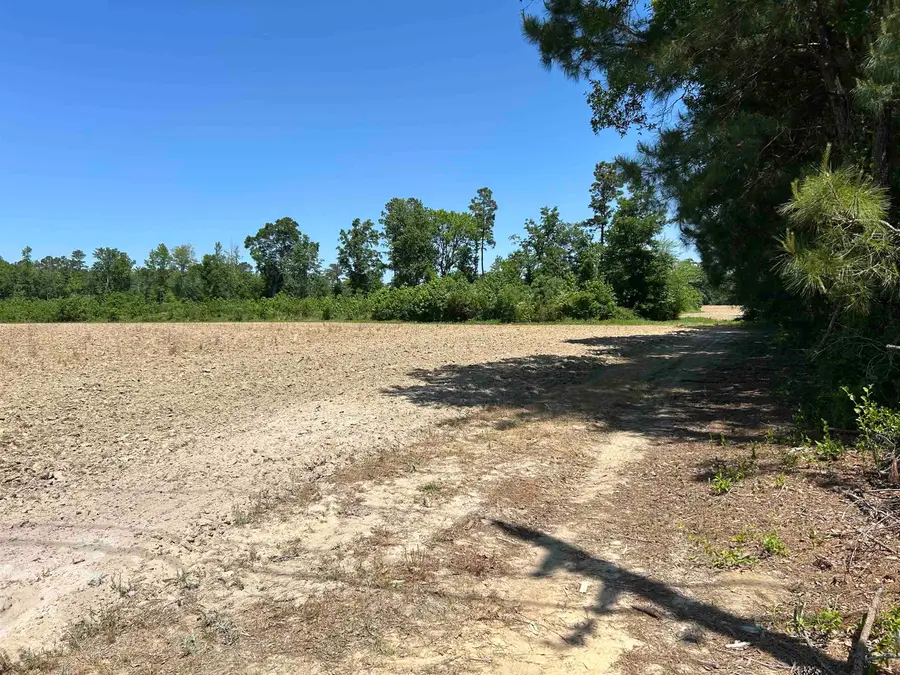 TBD1 Pleasant Hill Dr., Hemingway, SC 29554 - #3