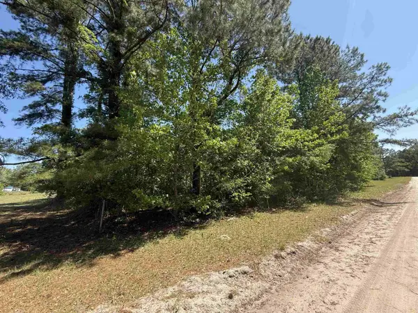 TBD New Bridge Rd., Nichols, SC 29581