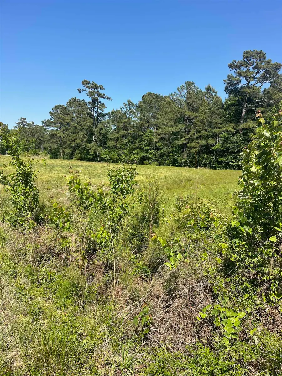 TBD Highway 9 Bypass, Loris, SC 29569 - #2