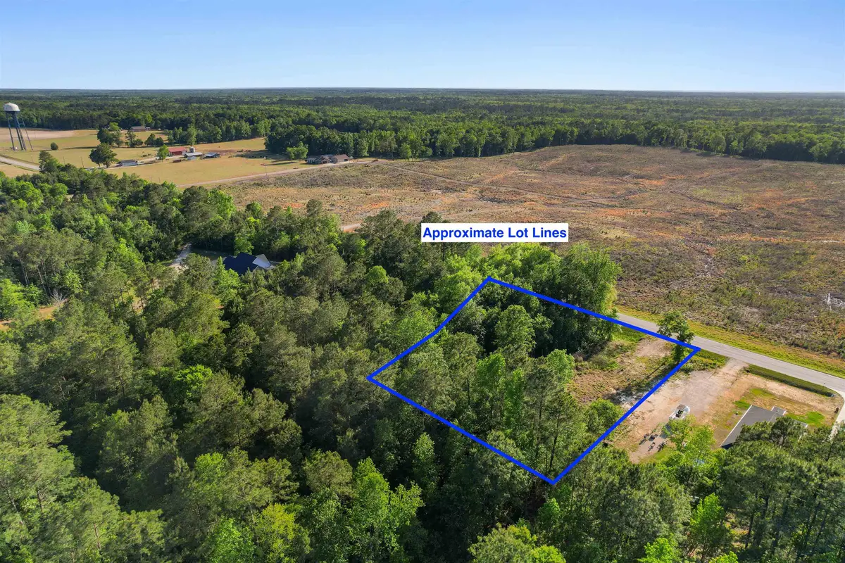 TBD Lot 3 Pee Dee Hwy., Conway, SC 29527 - #1