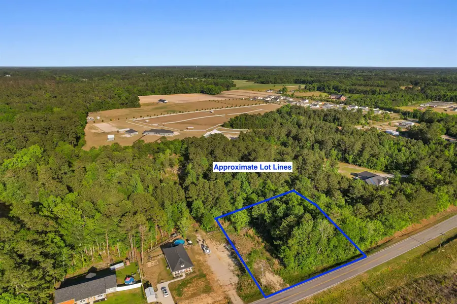 TBD Lot 3 Pee Dee Hwy., Conway, SC 29527 - #2