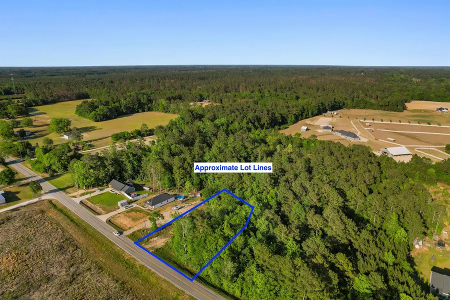 TBD Lot 3 Pee Dee Hwy., Conway, SC 29527 - #3