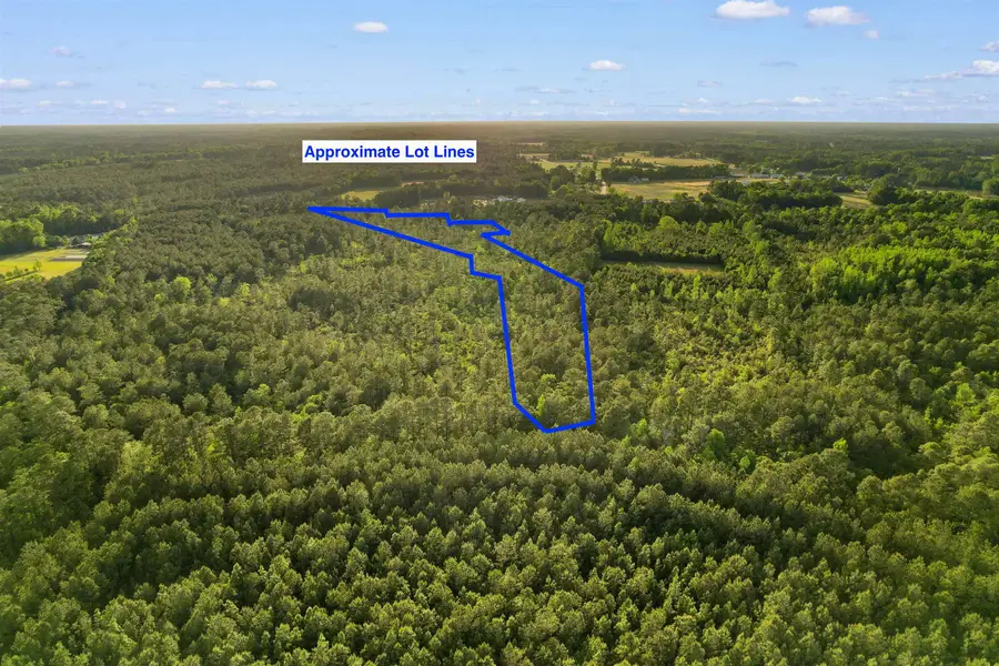 TBD Mount Olive Church Rd., Loris, SC 29569 - #3