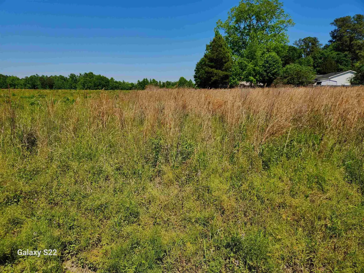 TBD Pleasant View Church Rd., Nichols, SC 29581 - #1