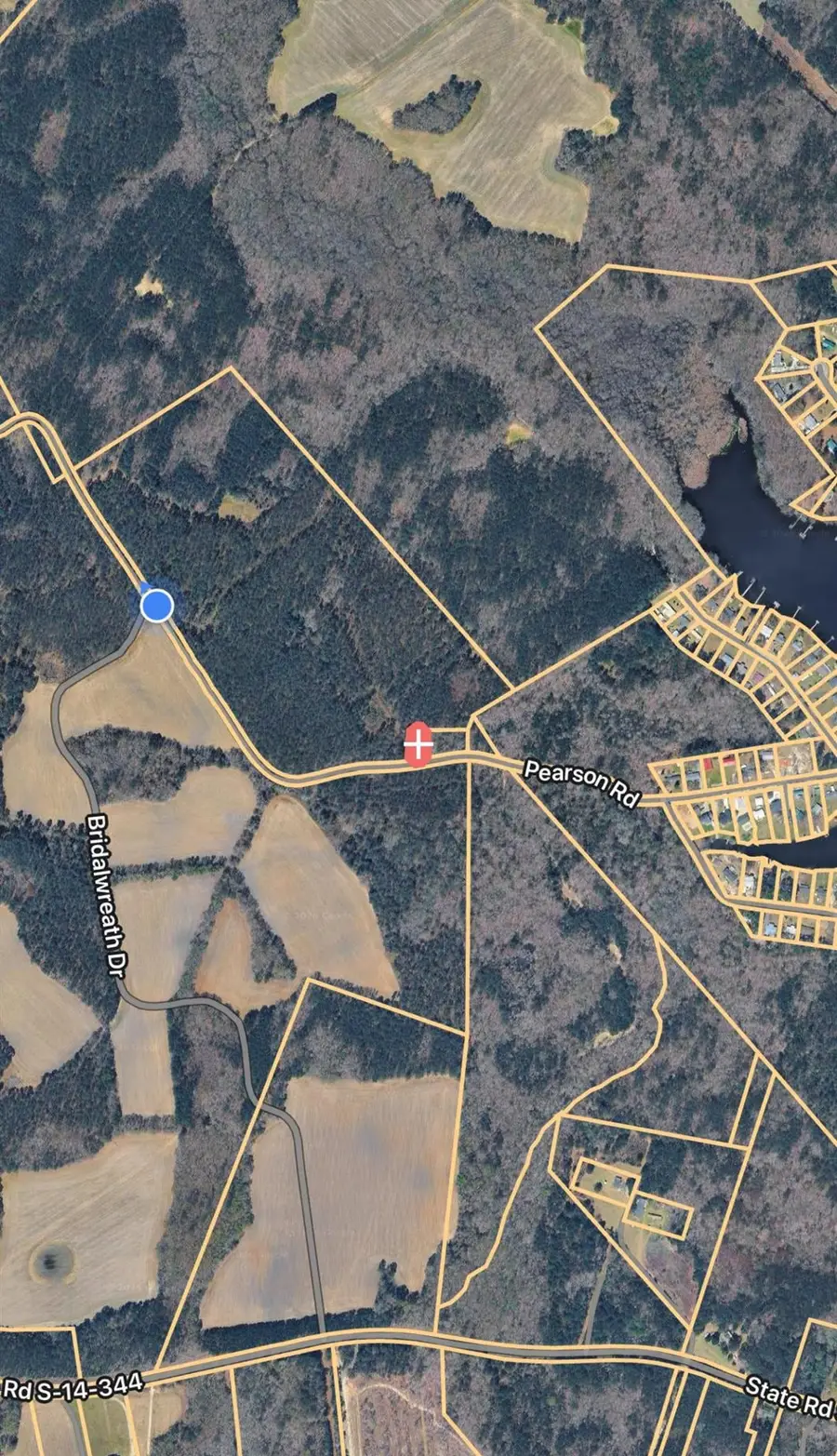 TBD Pearson Rd., Manning, SC 29102 - #2