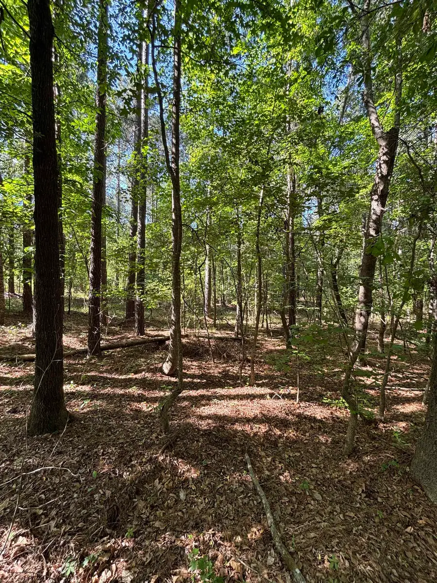 TBD Pearson Rd., Manning, SC 29102 - #3