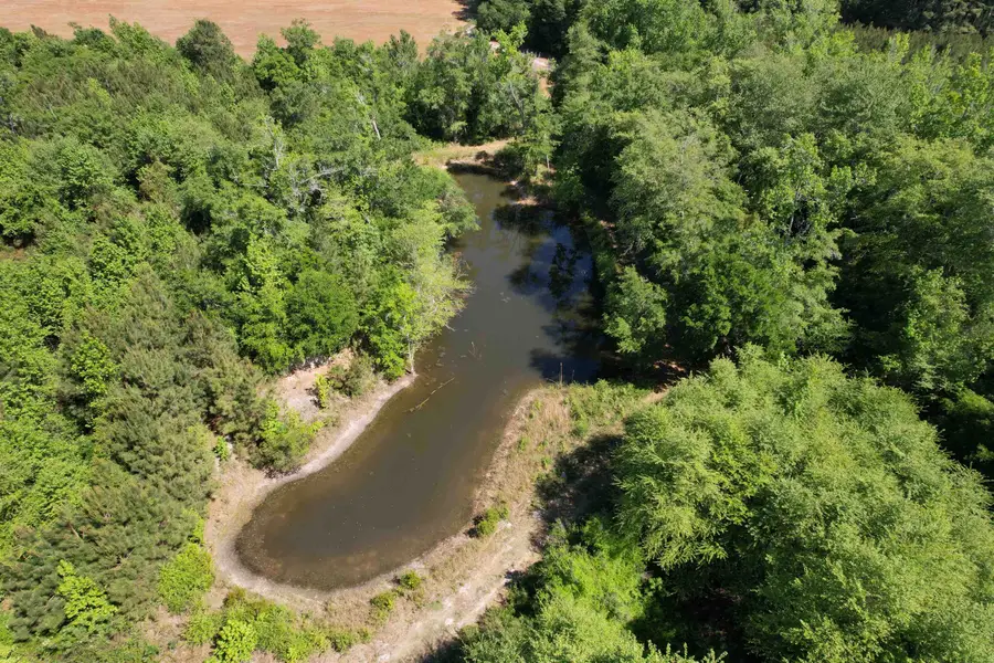 TBD Easler Hwy, Greeleyville, SC 29056 - #2