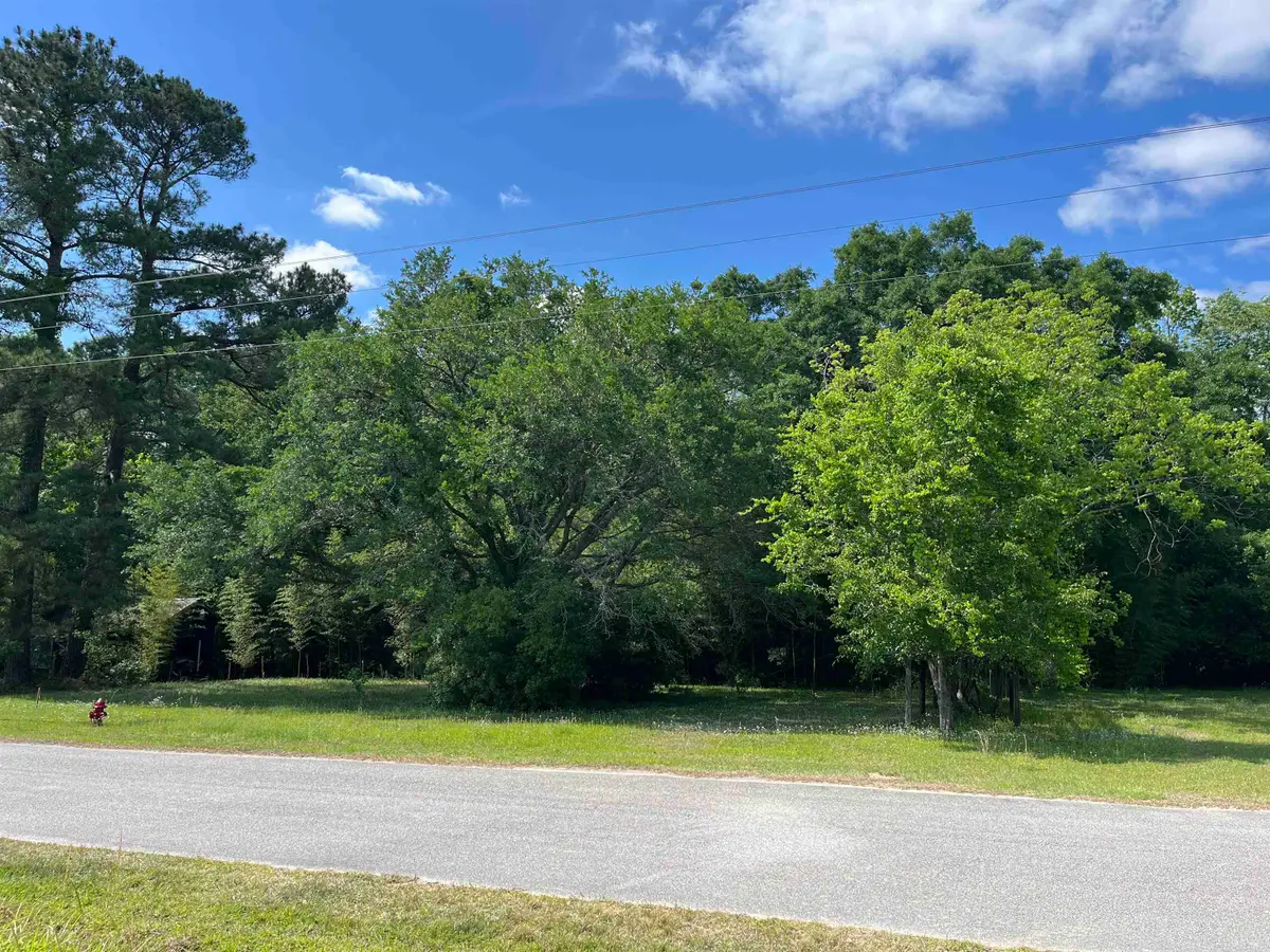 5451 Old Highway 472, Conway, SC 29526 - #1