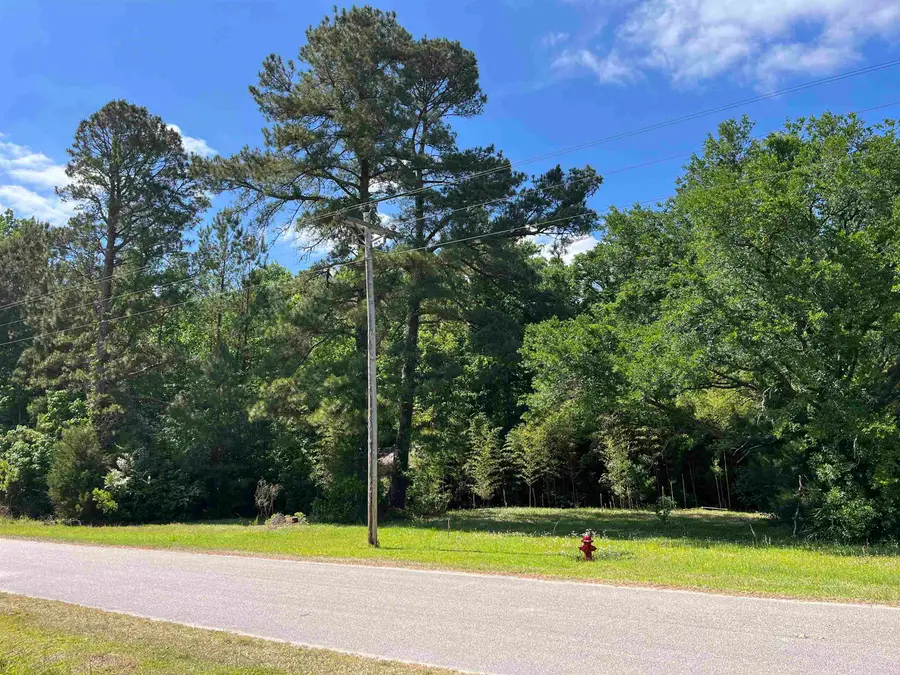 5451 Old Highway 472, Conway, SC 29526 - #2