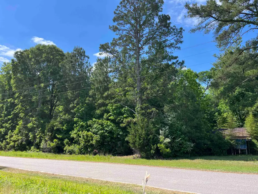 5451 Old Highway 472, Conway, SC 29526 - #3